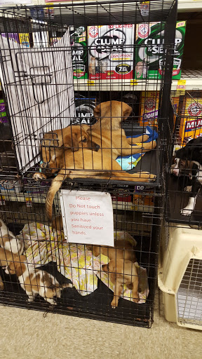 Pet Supply Store «PetSmart», reviews and photos, 139 Radio Dr, Stroudsburg, PA 18360, USA