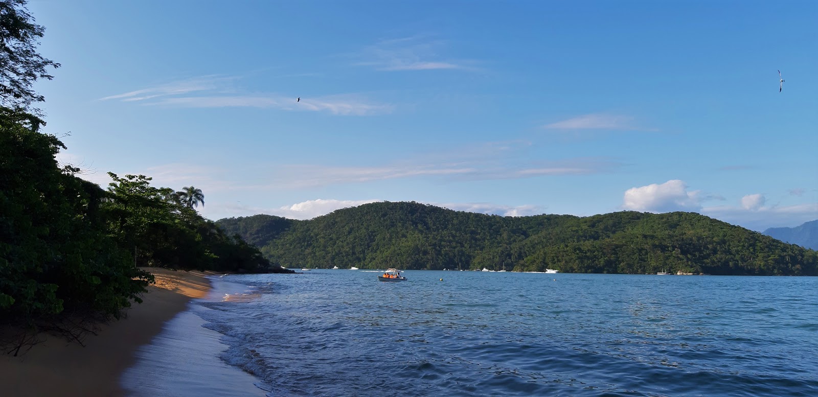 Foto de Praia do Pereque - lugar popular entre os apreciadores de relaxamento
