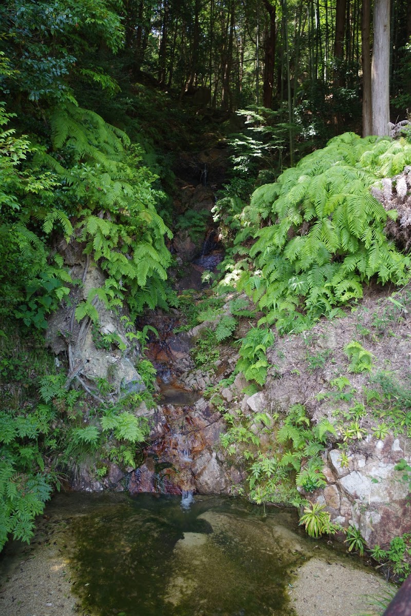 妙感寺 不老の滝
