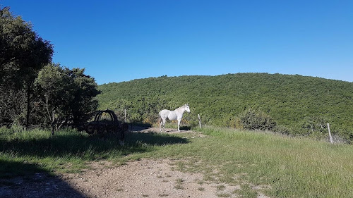 Ferme Equestre Le Relais de Vazeille à Saint-Maurice-d'Ibie