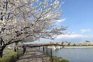 Hashienuma Kankyo Fureai Park image