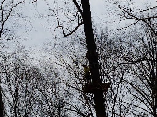 Amusement Park «The Adventure Park at the Discovery Museum», reviews and photos, 4450 Park Ave, Bridgeport, CT 06604, USA