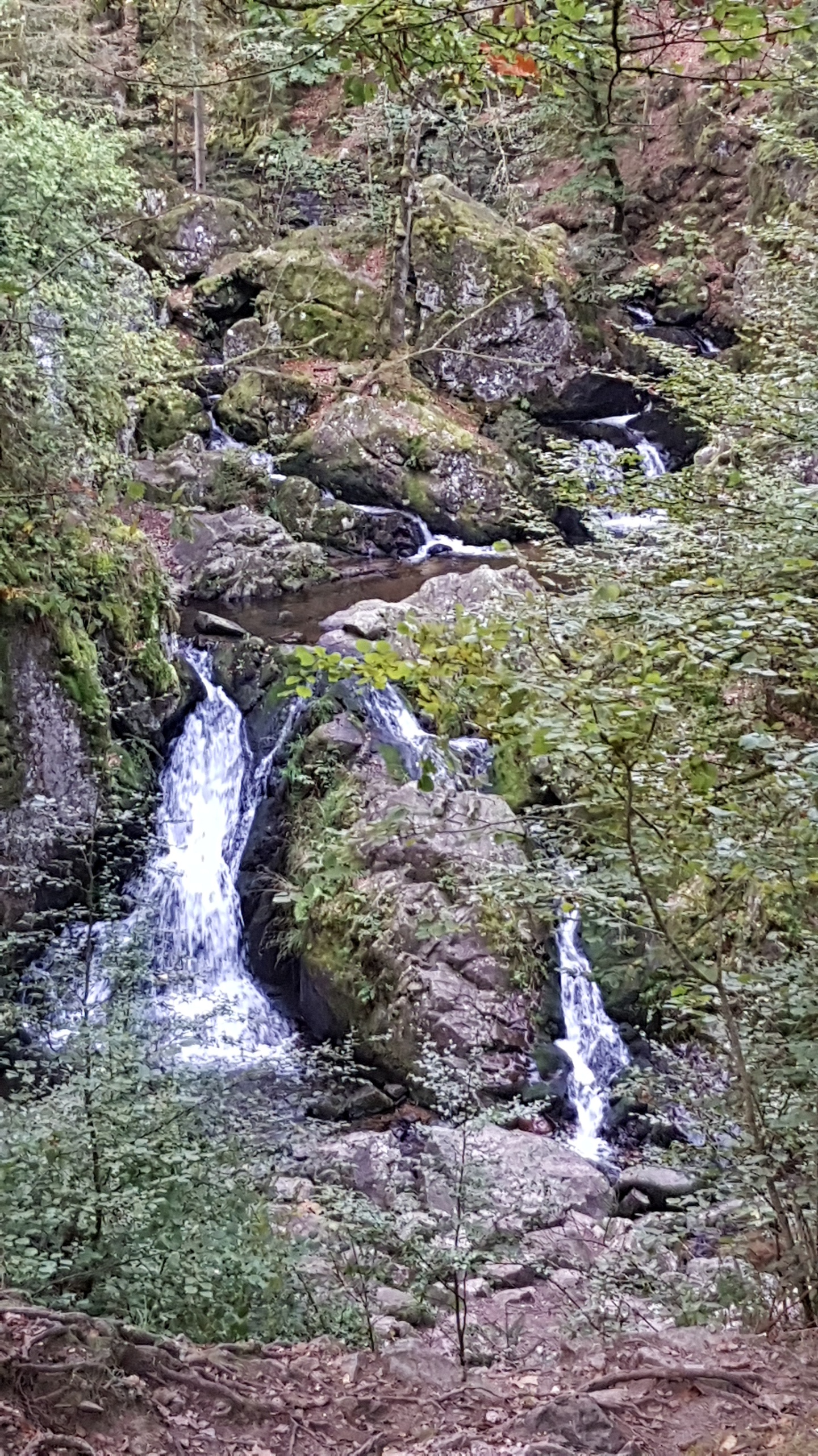 Photo n° 1 de l'avis de R. fait le 10/10/2023 à 11:53