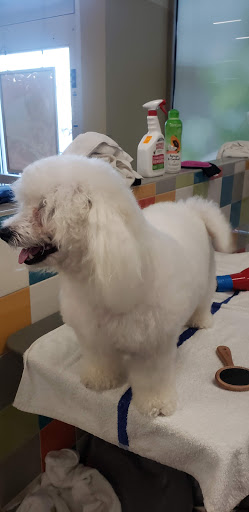 Pet Supply Store «Petco Animal Supplies», reviews and photos, 157-20 Cross Bay Blvd, Howard Beach, NY 11414, USA