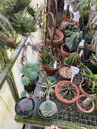 Florist «Floradise Orchids», reviews and photos, 19154 James Madison Hwy, Gordonsville, VA 22942, USA