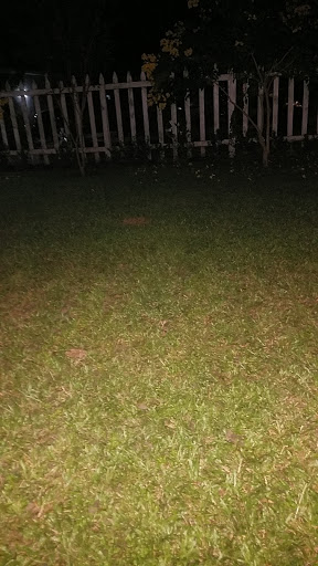 Gold Stone Hotel Port Harcourt, Grace Land Road, Rumueme 500272, Port Harcourt, Nigeria, Budget Hotel, state Rivers