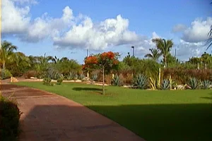 Anguilla image