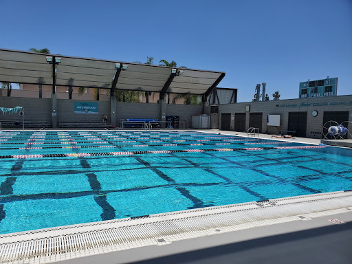 Ned Baumer Swimming Pool
