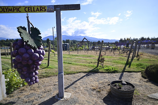 Winery «Olympic Cellars Winery», reviews and photos, 255410 US-101, Port Angeles, WA 98362, USA