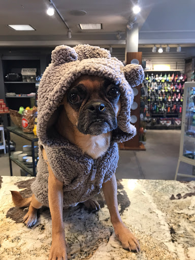 Pet Supply Store «Dog Dish», reviews and photos, 1778 Utica Square, Tulsa, OK 74114, USA