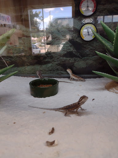 Pet Supply Store «Petco Animal Supplies», reviews and photos, 3680 Spencer Hwy, Pasadena, TX 77504, USA