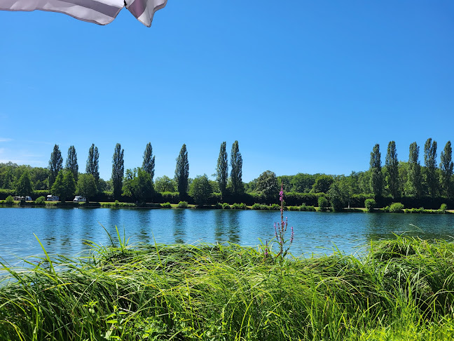 Breisgau-Camping am Silbersee - Strandbad Silbersee GmbH - Freiburg