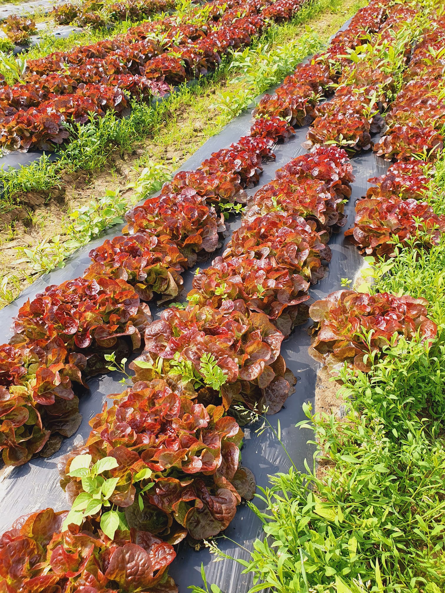 Photo n° 4 de l'avis de Arnaud.o fait le 15/05/2023 à 05:57