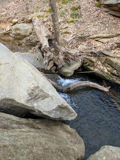 Nature Preserve «Big Trees Forest Preserve Inc», reviews and photos, 7645 Roswell Rd NE, Sandy Springs, GA 30350, USA