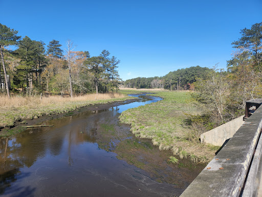 Park «Junction & Breakwater Trailhead», reviews and photos, Junction and Breakwater Trail, Rehoboth Beach, DE 19971, USA