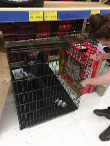 Pet Store «Feeders Supply», reviews and photos, 229 E Lewis and Clark Pkwy, Clarksville, IN 47129, USA