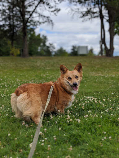 Park «Willamette Park», reviews and photos, SW Macadam Ave, Portland, OR 97219, USA