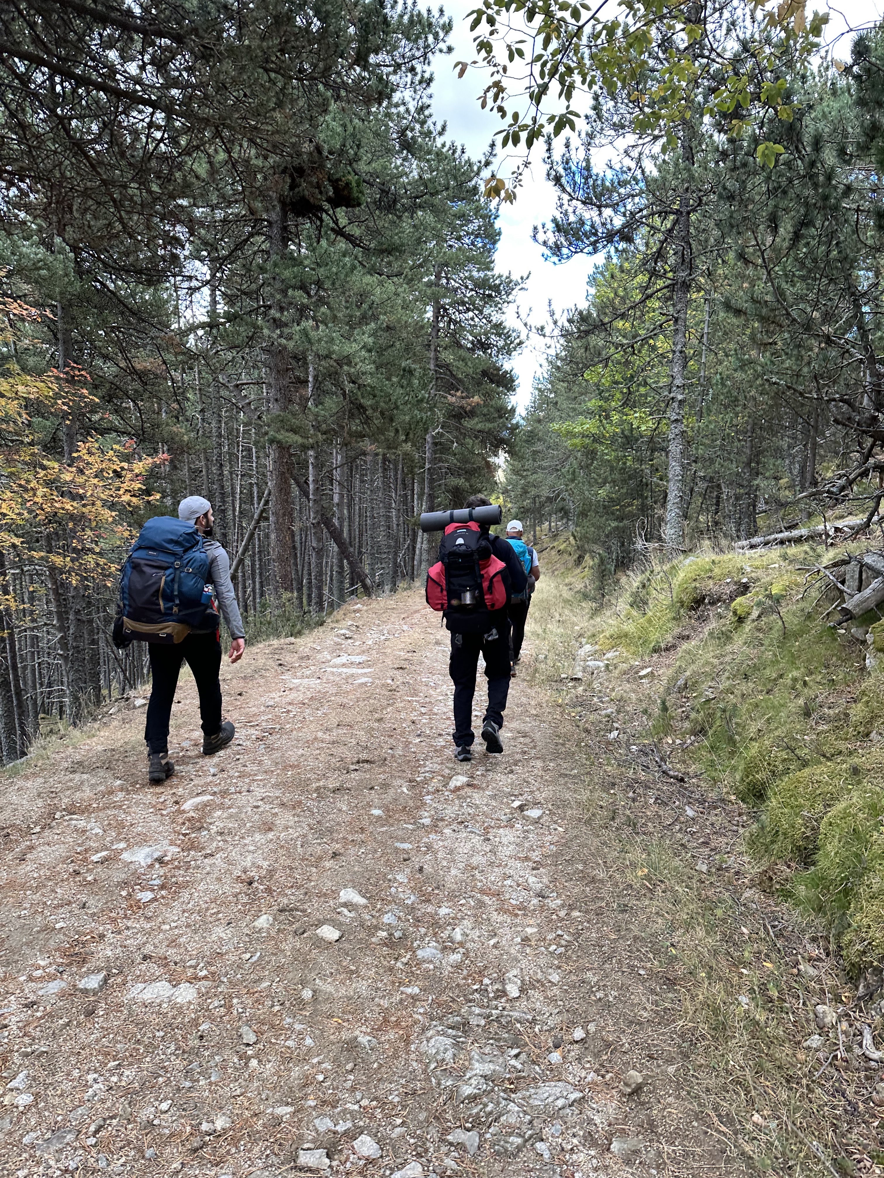 Photo n° 4 de l'avis de Sébastien.a fait le 01/11/2023 à 18:29