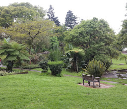 Playground Park photo