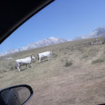 Photo n°2 de l'avis de Franco.e fait le 12/08/2019 à 15:14 sur le  Rifugio di Lago Racollo à Santo Stefano di Sessanio
