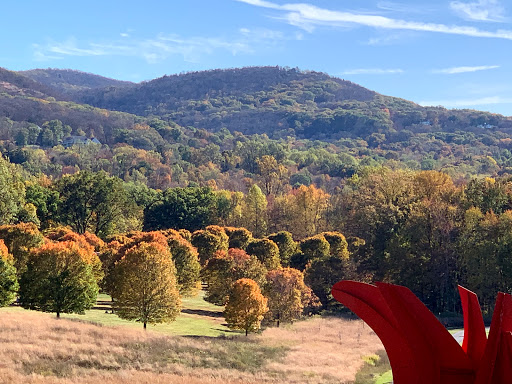 Art Center «Storm King Art Center», reviews and photos, 1 Museum Rd, New Windsor, NY 12553, USA