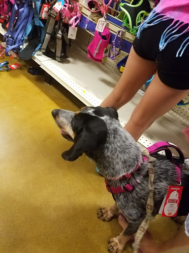 Pet Supply Store «PetSmart», reviews and photos, 6243 College Dr, Suffolk, VA 23435, USA