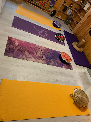 Centre de yoga Association Source Essence Yoga & Thérapies Vétraz-Monthoux