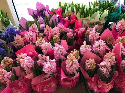 Supermarket «206 Farmers Market Inc», reviews and photos, 626 US-206, Hillsborough Township, NJ 08844, USA