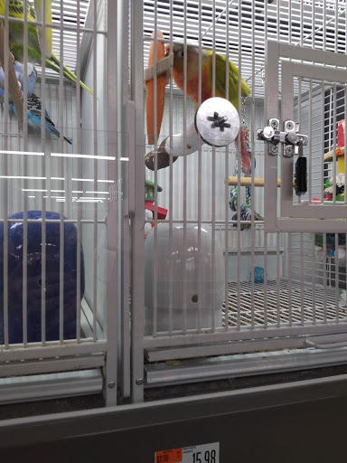 Pet Supply Store «Pet Supplies Plus», reviews and photos, 8175 Sheridan Blvd a, Arvada, CO 80003, USA