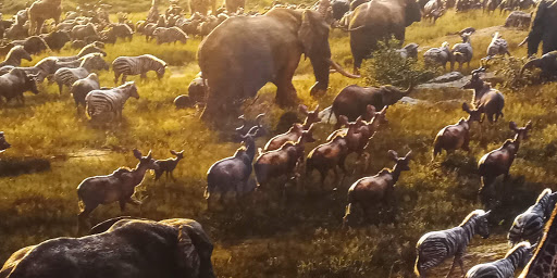 Movie Theater «Regal Cinemas El Dorado Hills 14 & IMAX», reviews and photos, 2101 Vine St, El Dorado Hills, CA 95762, USA