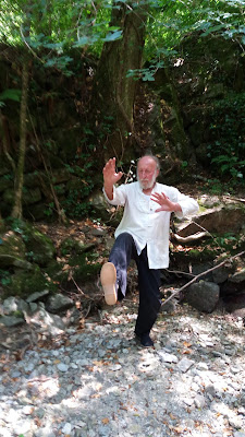 Taï-Chi, Qi-Gong à Saint-Hilaire de Brethmas à Saint-Hilaire-de-Brethmas