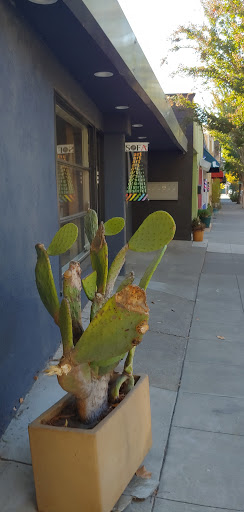 Caf Frida Gallery image