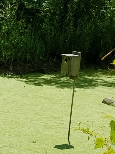 Nature Preserve «Crabtree Nature Center», reviews and photos, 3 Stover Rd, Barrington, IL 60010, USA