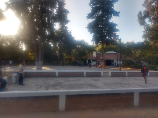 Grifos Skate Park