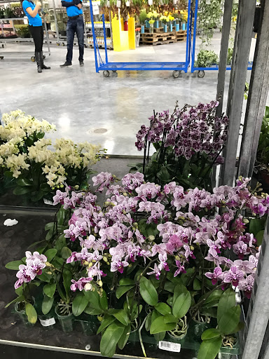 Florist «Flowers By Pouparina», reviews and photos, 7701 W 26th Ave #7, Hialeah, FL 33016, USA