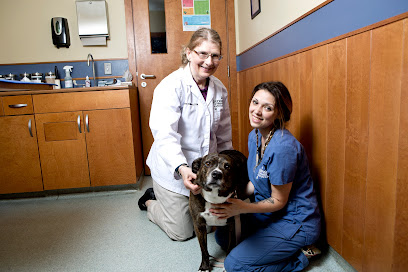 Dedham Veterinary Associates