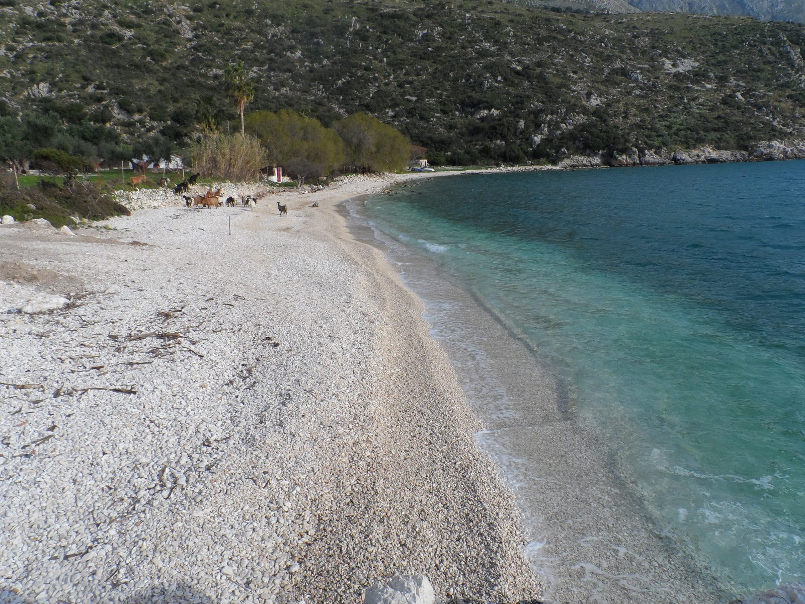 Photo of Kontogourata beach with green pure water surface