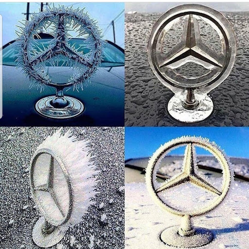 Auto Body Shop «Aimes Collision - European Auto Body Repair», reviews and photos, 11436 Reeder Rd, Dallas, TX 75229, USA