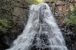 39 Steps Waterfall image