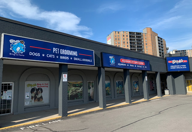 Big Al's Pet Supercentres