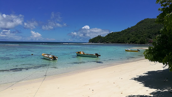Anse Marie Louise Beach