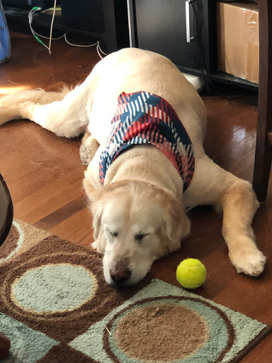 Pet Supply Store «PetSmart», reviews and photos, 142 Woodstock Square Ave, Woodstock, GA 30189, USA