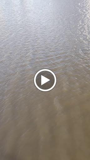 Aquarium «Greater Cleveland Aquarium», reviews and photos, 2000 Sycamore St, Cleveland, OH 44113, USA