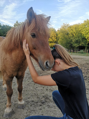 Sarl Centre Equestre de Boissy Fresnoy à Boissy-Fresnoy