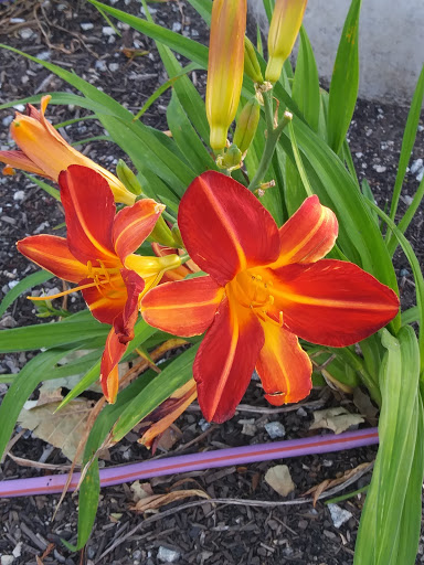 Pet Supply Store «PetSmart», reviews and photos, 1530 Froom Ranch Way, San Luis Obispo, CA 93405, USA