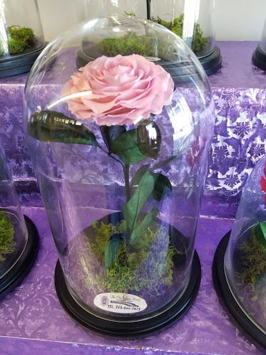 Florist «The Chocolate Rose», reviews and photos, 1609 S Richey St, Pasadena, TX 77502, USA