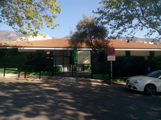Colegio Público los Olivos