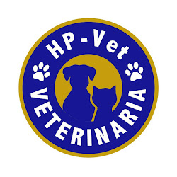 Clinica Hp-vet Veterinaria Rengo - Sucursal