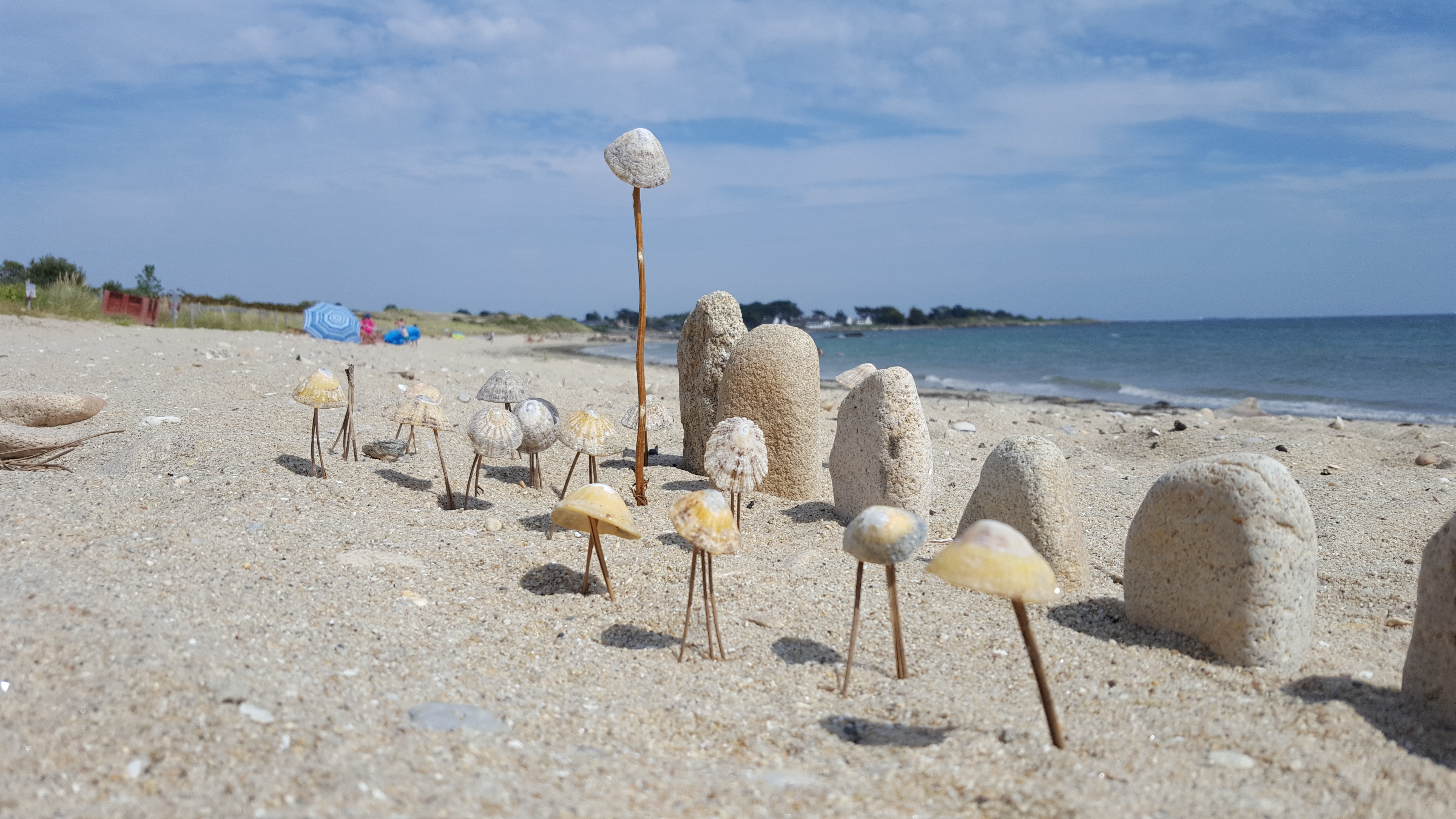 Photo n° 1 de l'avis de Poul.t fait le 17/07/2019 à 16:14