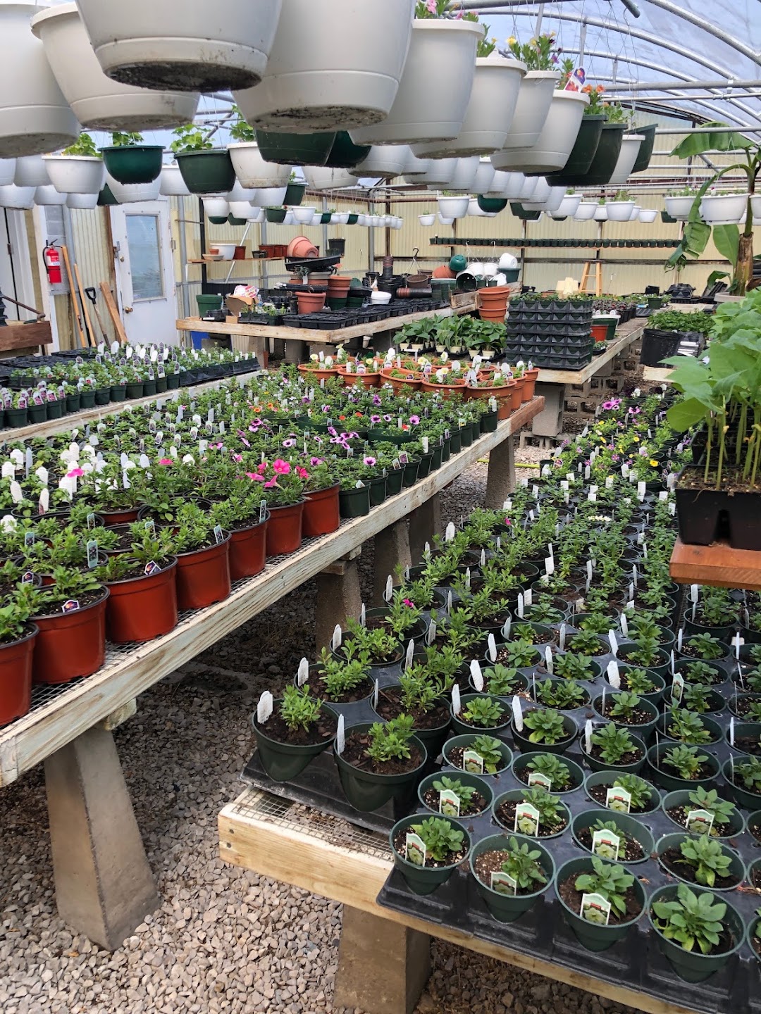 Star Florist & Greenhouses